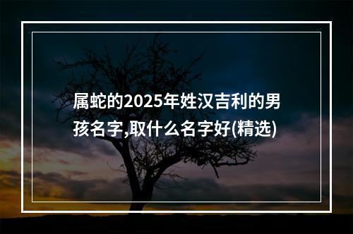 属蛇的2025年姓汉吉利的男孩名字,取什么名字好(精选)