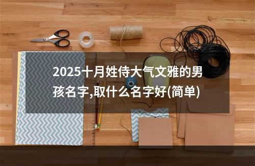 2025十月姓侍大气文雅的男孩名字,取什么名字好(简单)