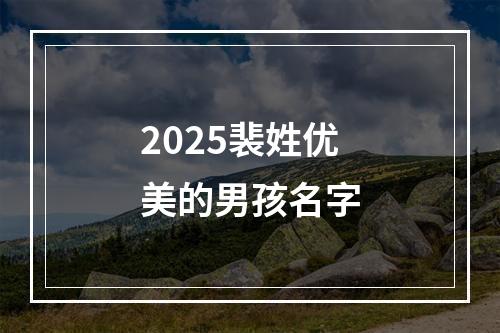 2025裴姓优美的男孩名字