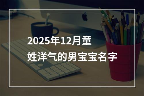 2025年12月童姓洋气的男宝宝名字