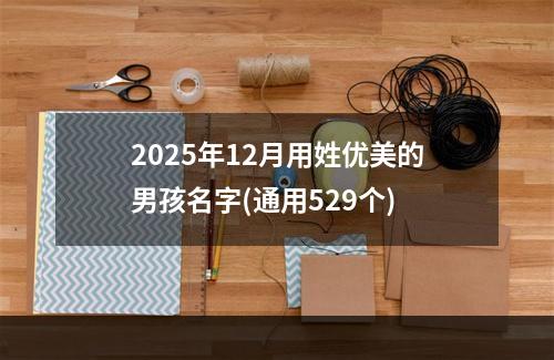 2025年12月用姓优美的男孩名字(通用529个)