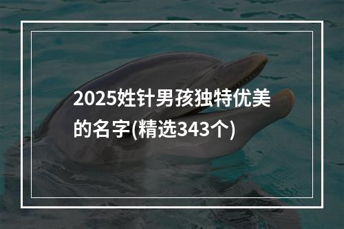 2025姓针男孩独特优美的名字(精选343个)