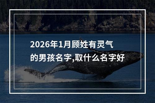 2026年1月顾姓有灵气的男孩名字,取什么名字好