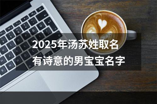 2025年汤苏姓取名有诗意的男宝宝名字