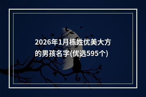 2026年1月栋姓优美大方的男孩名字(优选595个)