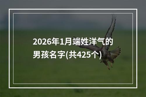 2026年1月端姓洋气的男孩名字(共425个)