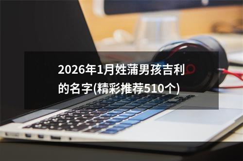 2026年1月姓蒲男孩吉利的名字(精彩推荐510个)