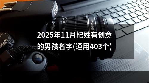 2025年11月杞姓有创意的男孩名字(通用403个)