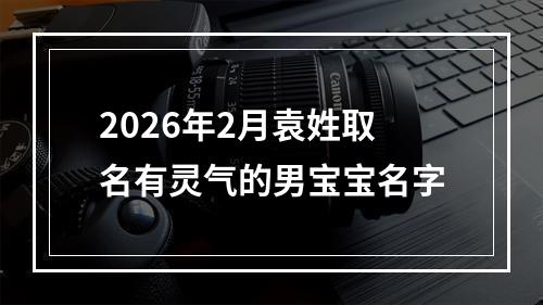 2026年2月袁姓取名有灵气的男宝宝名字