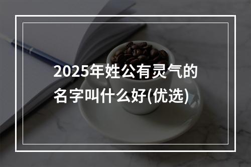 2025年姓公有灵气的名字叫什么好(优选)