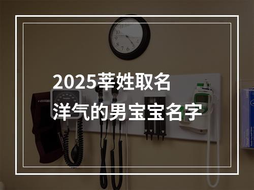 2025莘姓取名洋气的男宝宝名字