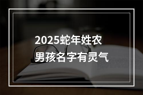 2025蛇年姓农男孩名字有灵气