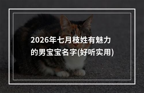 2026年七月枝姓有魅力的男宝宝名字(好听实用)