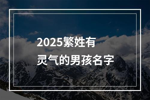 2025繁姓有灵气的男孩名字