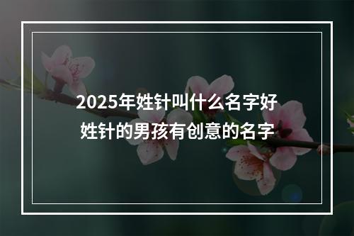 2025年姓针叫什么名字好 姓针的男孩有创意的名字