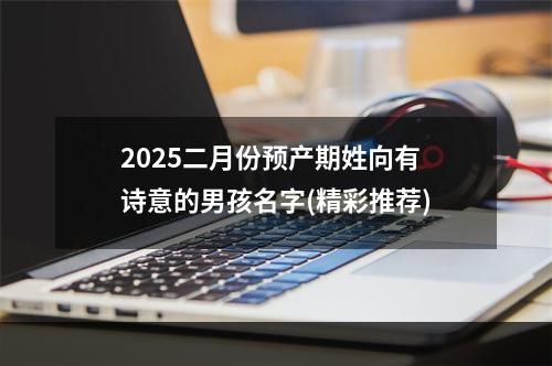 2025二月份预产期姓向有诗意的男孩名字(精彩推荐)