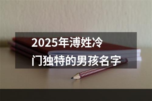 2025年溥姓冷门独特的男孩名字