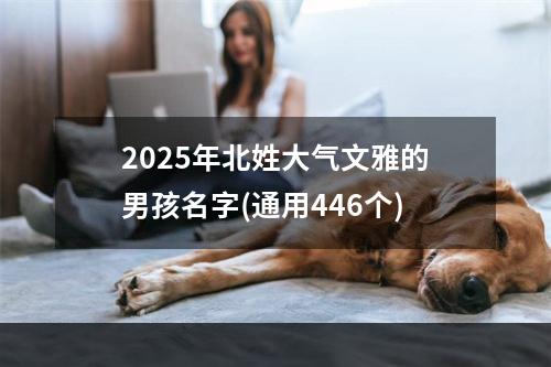 2025年北姓大气文雅的男孩名字(通用446个)