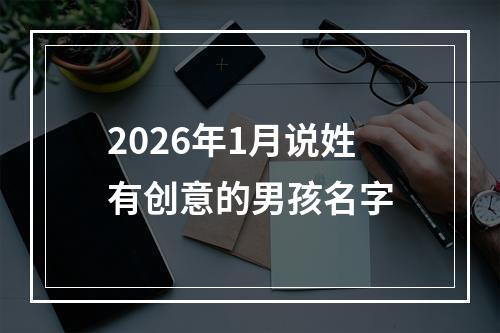 2026年1月说姓有创意的男孩名字