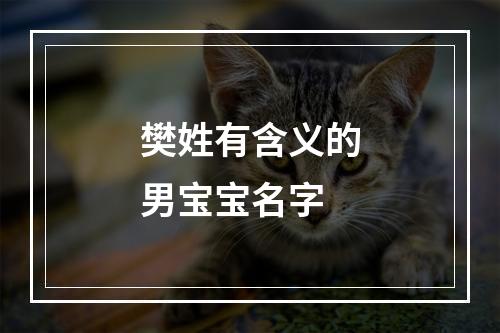 樊姓有含义的男宝宝名字