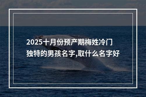 2025十月份预产期梅姓冷门独特的男孩名字,取什么名字好