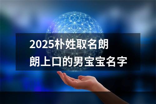 2025朴姓取名朗朗上口的男宝宝名字