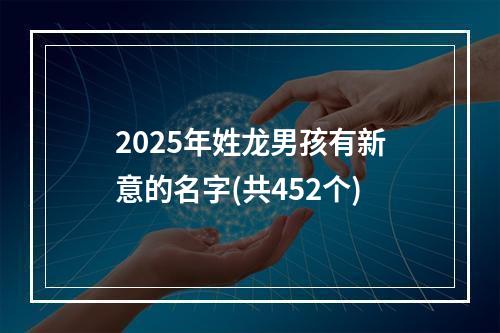2025年姓龙男孩有新意的名字(共452个)