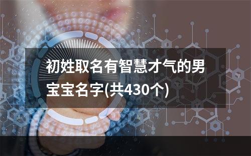 初姓取名有智慧才气的男宝宝名字(共430个)
