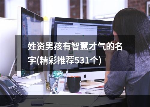 姓资男孩有智慧才气的名字(精彩推荐531个)