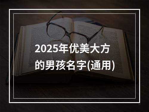 2025年优美大方的男孩名字(通用)