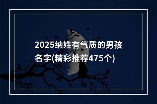 2025纳姓有气质的男孩名字(精彩推荐475个)
