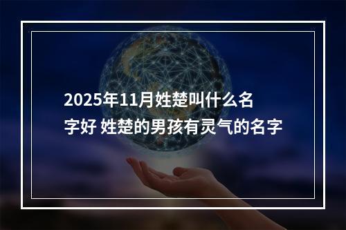 2025年11月姓楚叫什么名字好 姓楚的男孩有灵气的名字