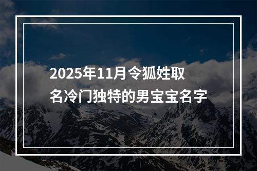2025年11月令狐姓取名冷门独特的男宝宝名字