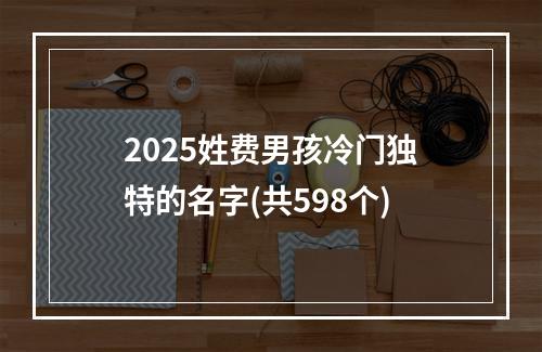 2025姓费男孩冷门独特的名字(共598个)