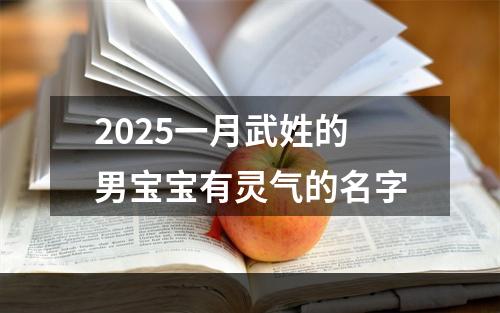 2025一月武姓的男宝宝有灵气的名字