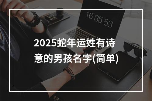 2025蛇年运姓有诗意的男孩名字(简单)