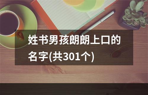 姓书男孩朗朗上口的名字(共301个)