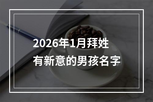 2026年1月拜姓有新意的男孩名字