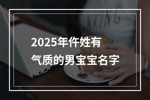 2025年仵姓有气质的男宝宝名字