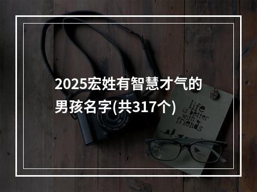 2025宏姓有智慧才气的男孩名字(共317个)