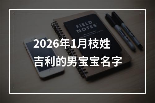 2026年1月枝姓吉利的男宝宝名字