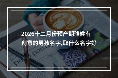 2026十二月份预产期骆姓有创意的男孩名字,取什么名字好