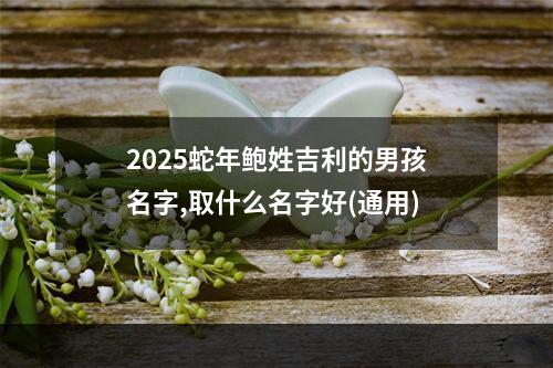 2025蛇年鲍姓吉利的男孩名字,取什么名字好(通用)