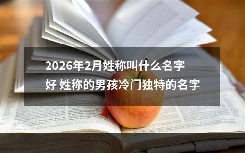 2026年2月姓称叫什么名字好 姓称的男孩冷门独特的名字