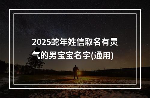 2025蛇年姓信取名有灵气的男宝宝名字(通用)