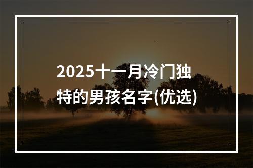 2025十一月冷门独特的男孩名字(优选)