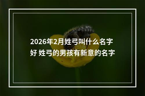 2026年2月姓弓叫什么名字好 姓弓的男孩有新意的名字