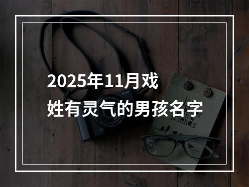 2025年11月戏姓有灵气的男孩名字