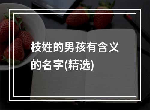 枝姓的男孩有含义的名字(精选)