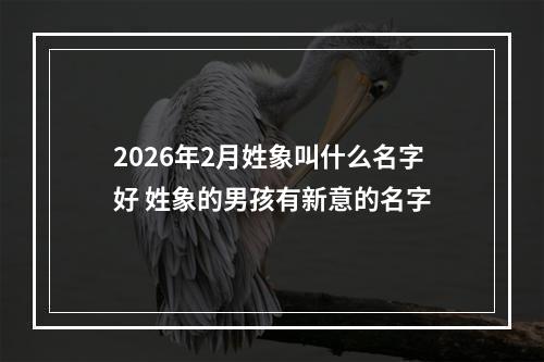 2026年2月姓象叫什么名字好 姓象的男孩有新意的名字